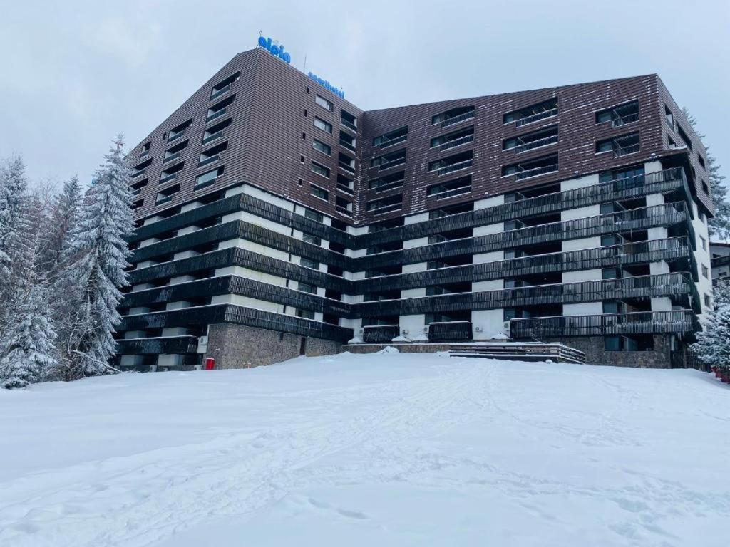 Alpin Resort Hotel - Apartamentele 2403-2404- Proprietate Administrata De Gazda Privata Poiana Brasov Exterior foto
